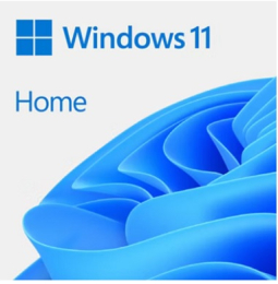 Microsoft Windows 11 Home 32/64-bit